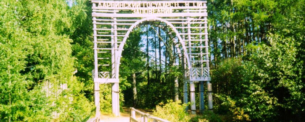 
            Фотография Борока