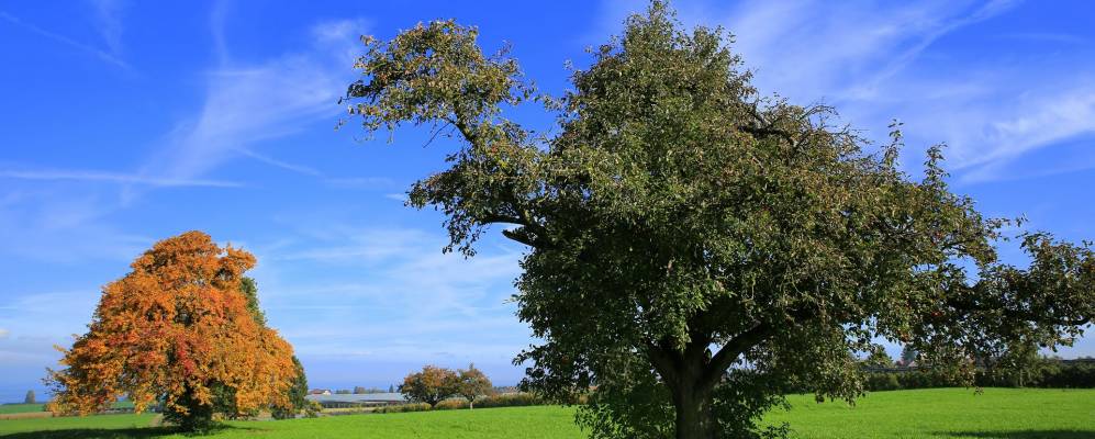 
            Фотография Альтнау