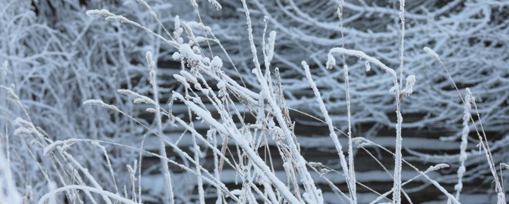 
            Фотография Лукьянцево