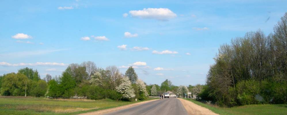 
            Фотография Соловьево