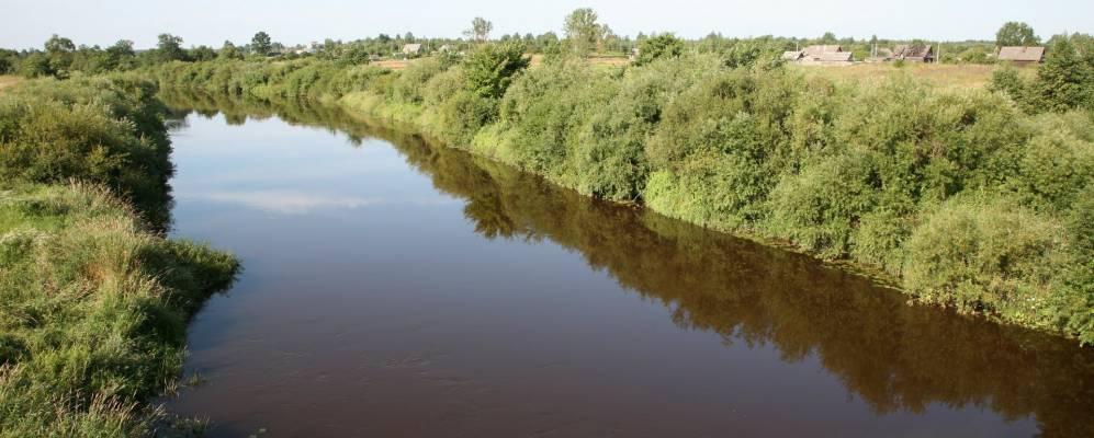 
            Фотография Марьино