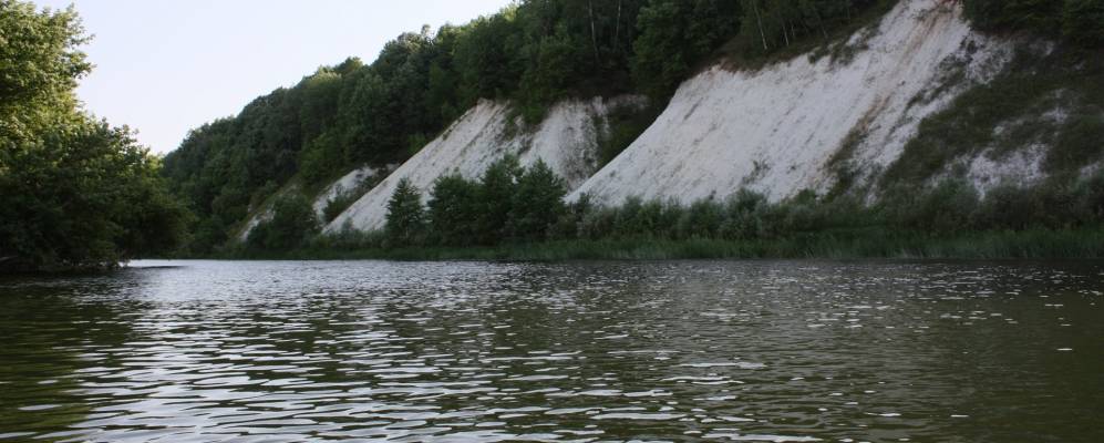 
            Фотография Луговки