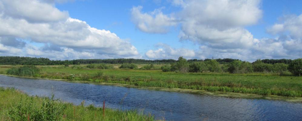 
            Фотография Дубчиц