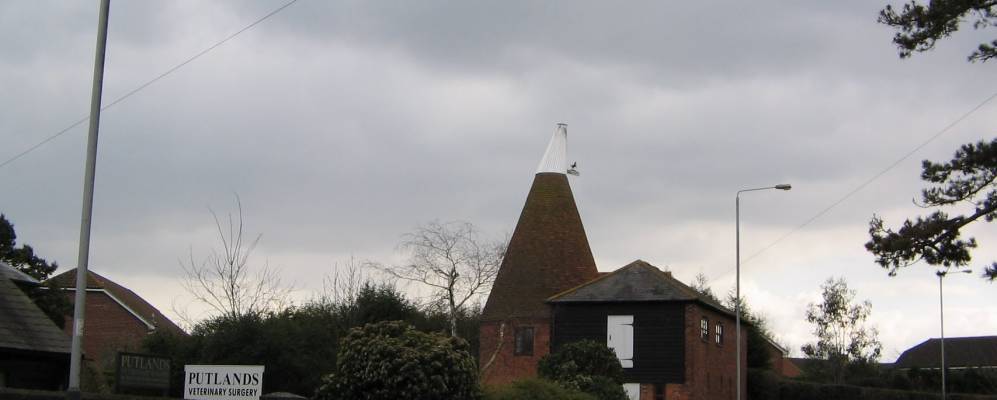 Фотография Паддок-Вуд