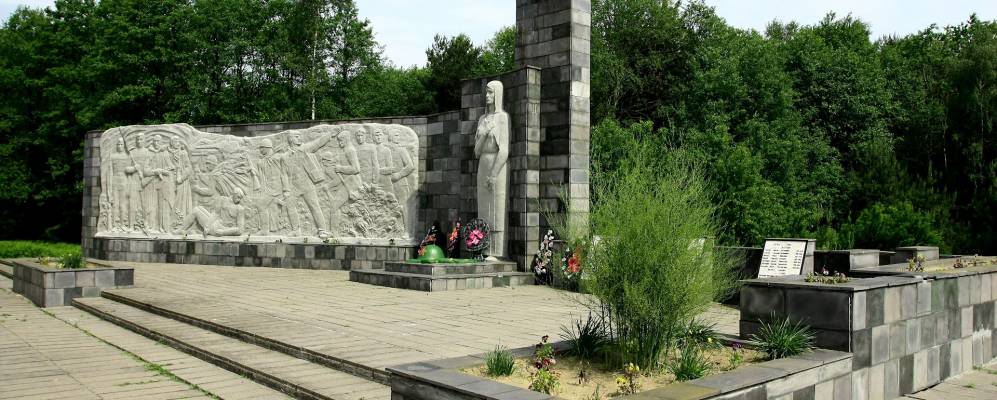 
            Фотография Зосино