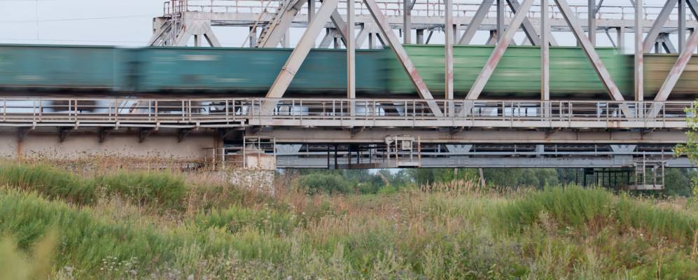 
            Фотография Подгоренок