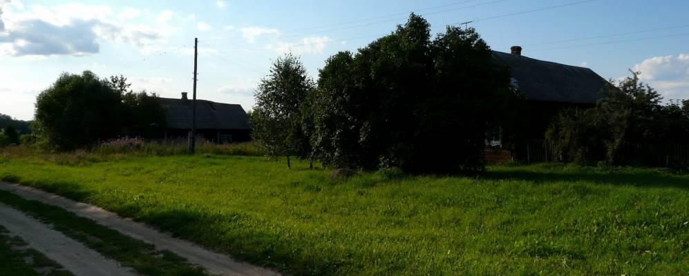 Фотография Гусарниково