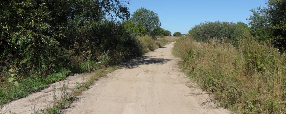 
            Фотография Поляны