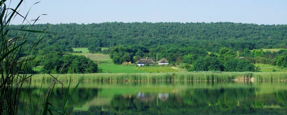 
            Фотография Селивановки