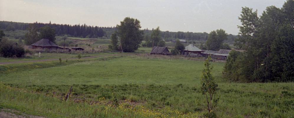 
            Фотография Веселого