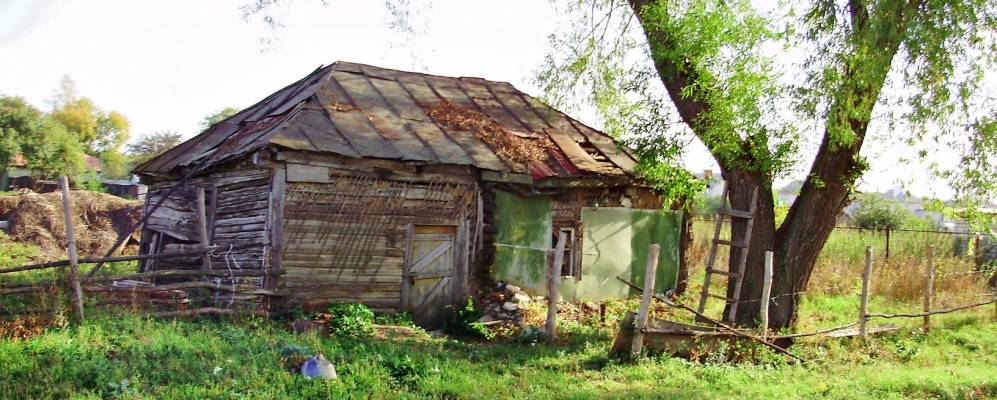 
            Фотография Глушиц