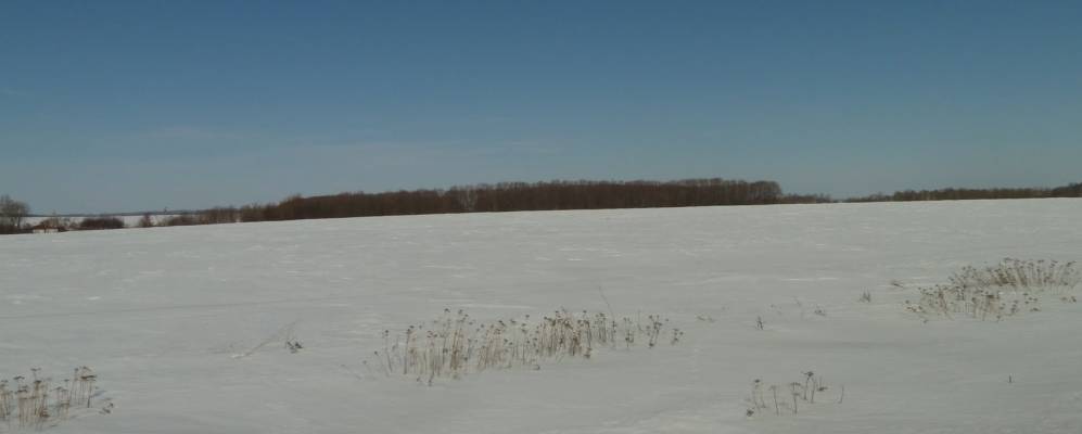 
            Фотография Сумароково