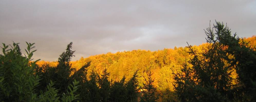 
            Фотография Глаттбаха