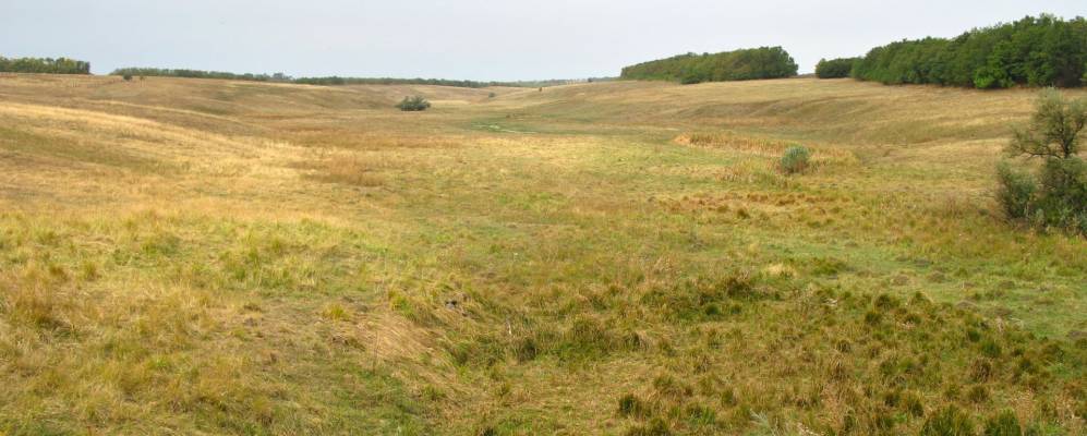 
            Фотография Богуславки