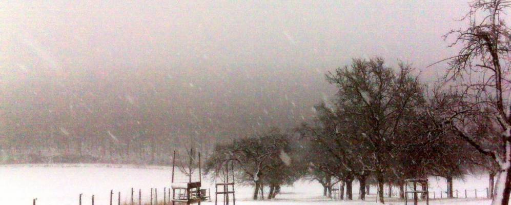 
            Фотография Нойербурга