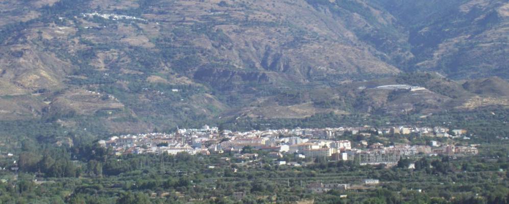 
            Фотография Орхивы