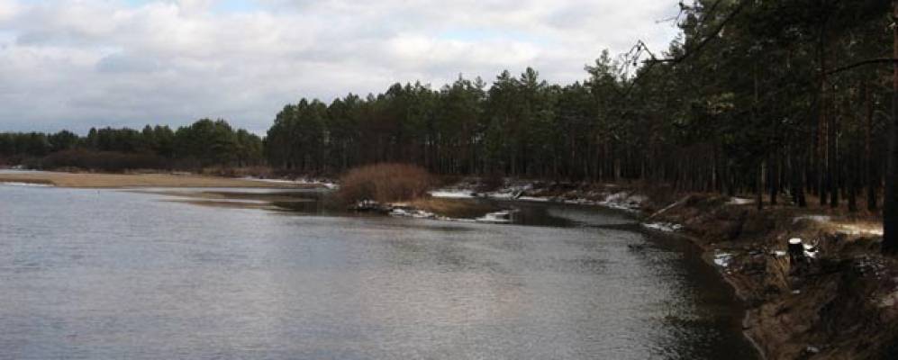 
            Фотография Нового