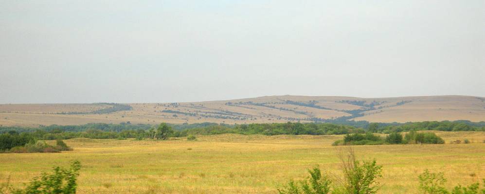 
            Фотография Колоцкого