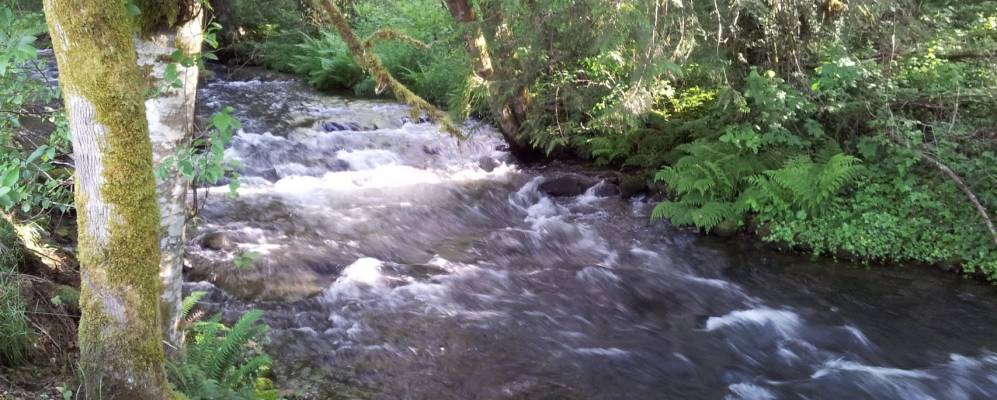 
            Фотография Амбой