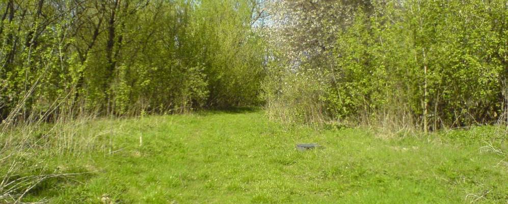 
            Фотография Ольховки