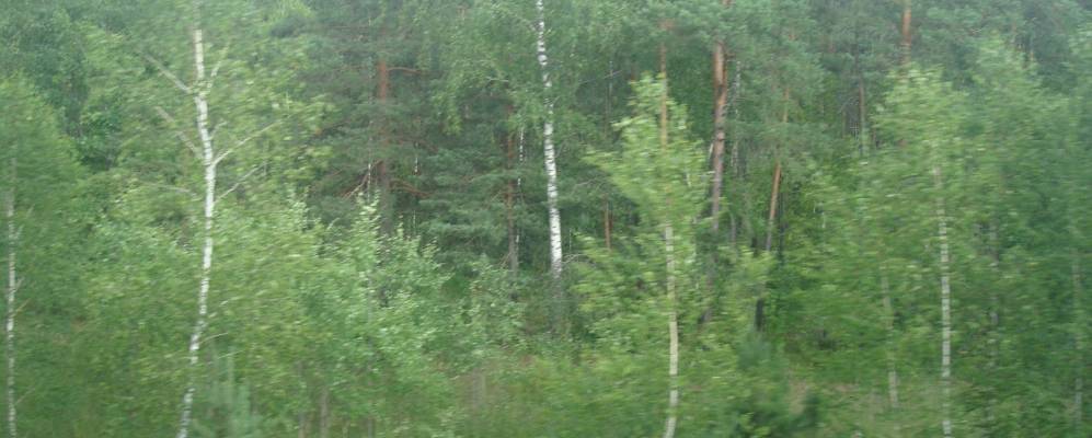 Фотография деревни Страковичи