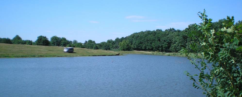 
            Фотография Маяки