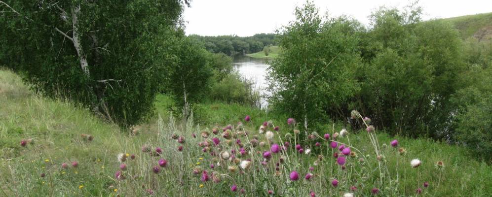 Фотография Прудков