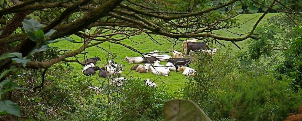 
            Фотография Хартленд