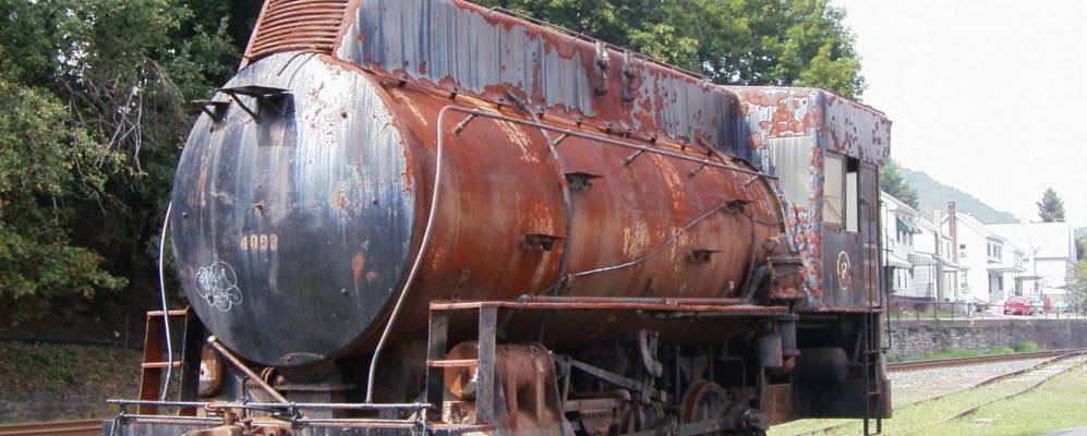 
            Фотография Тамакуы