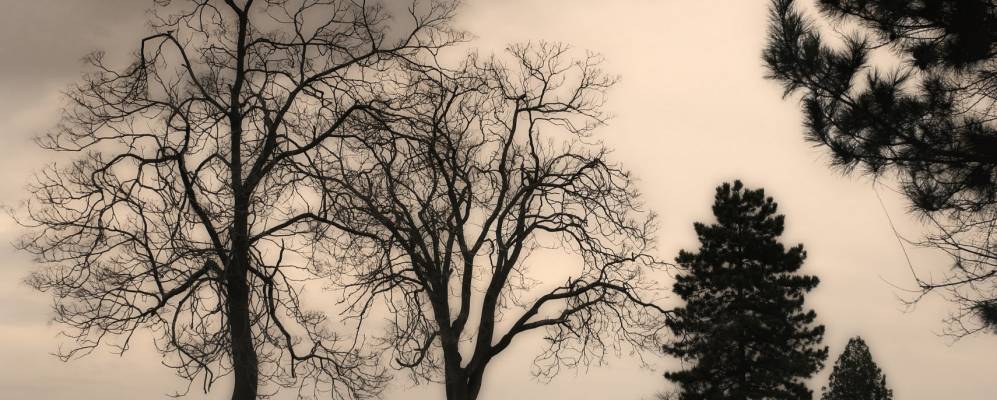 
            Фотография Петроварадина