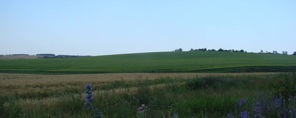 
            Фотография Малой Плотики