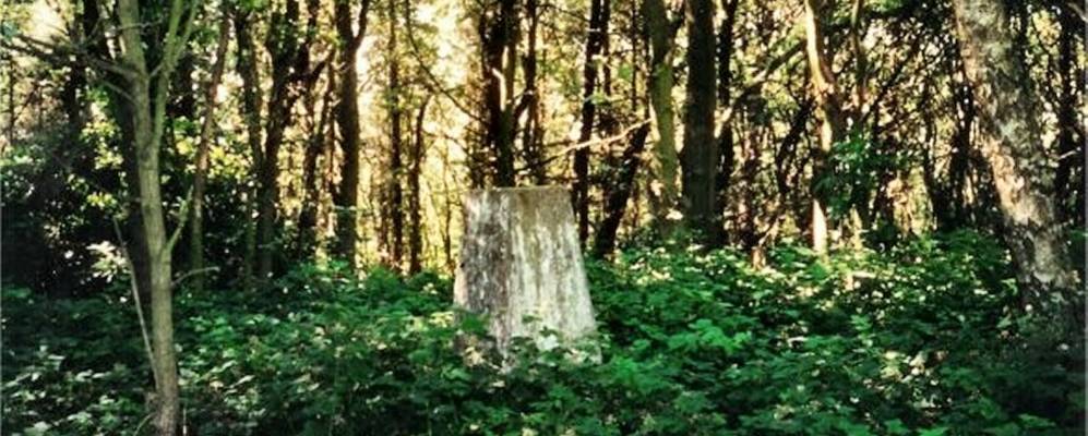 
            Фотография Престбери