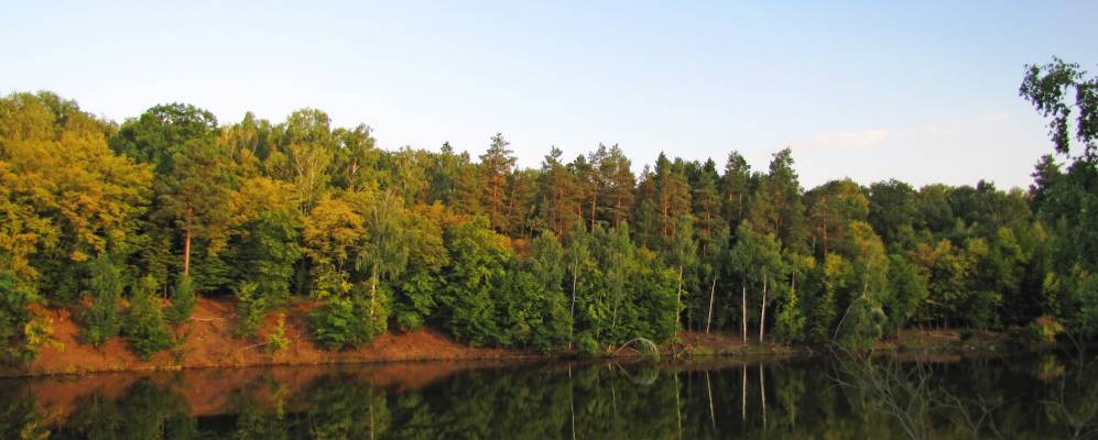 
            Фотография Руденьки