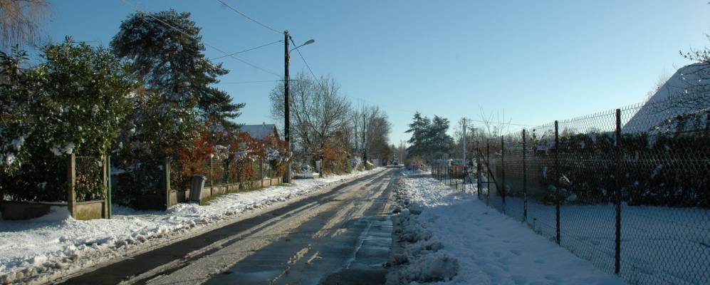 
            Фотография Шандель