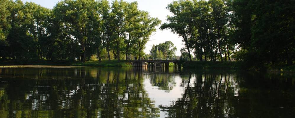 
            Фотография Бараши