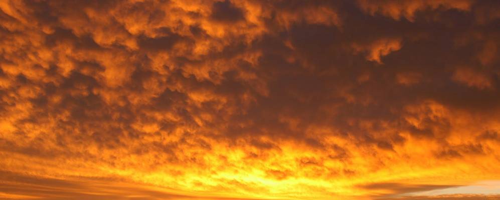 
            Фотография Хита