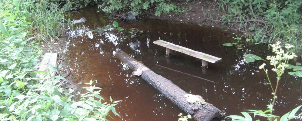 Фотография Житянино