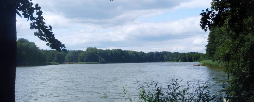 
            Фотография Занемысла