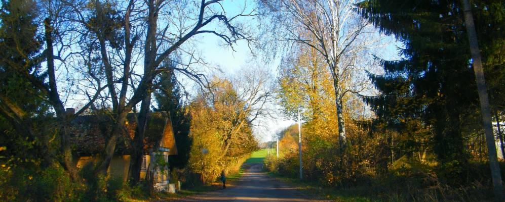 Фотография деревни Сурвилишки