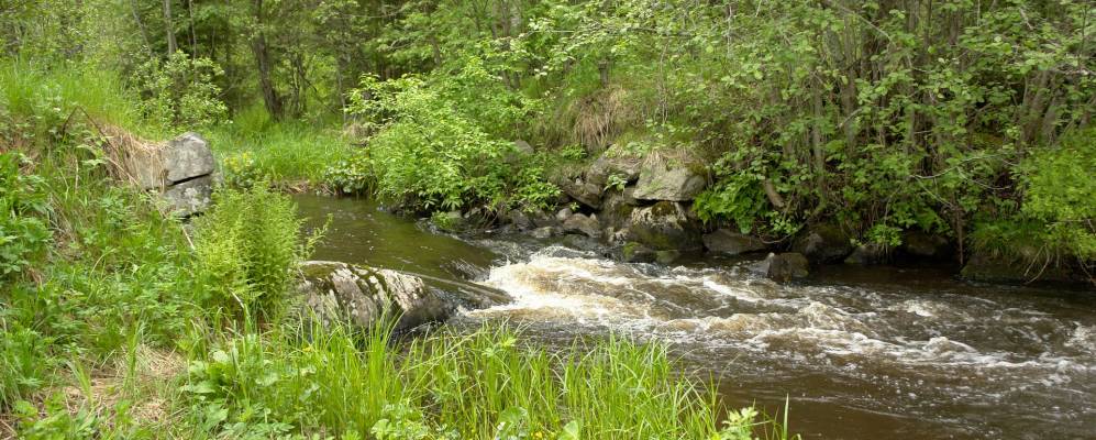 
            Фотография Керисюрья