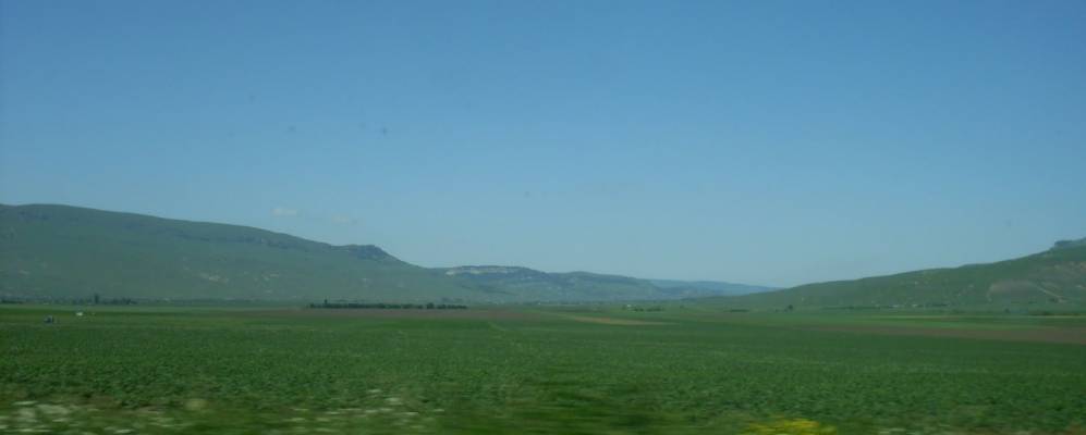 Фотография Сторожевой