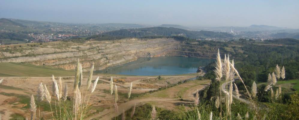 
            Фотография Реосина