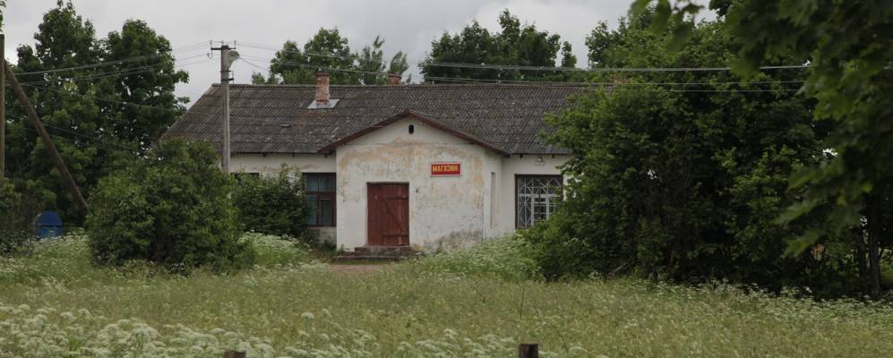 
            Фотография Слободки