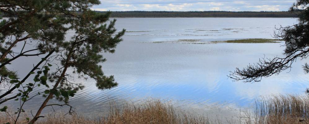 
            Фотография Шо