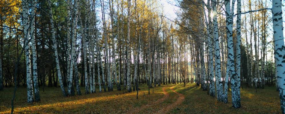 Фотография Кадыкоя