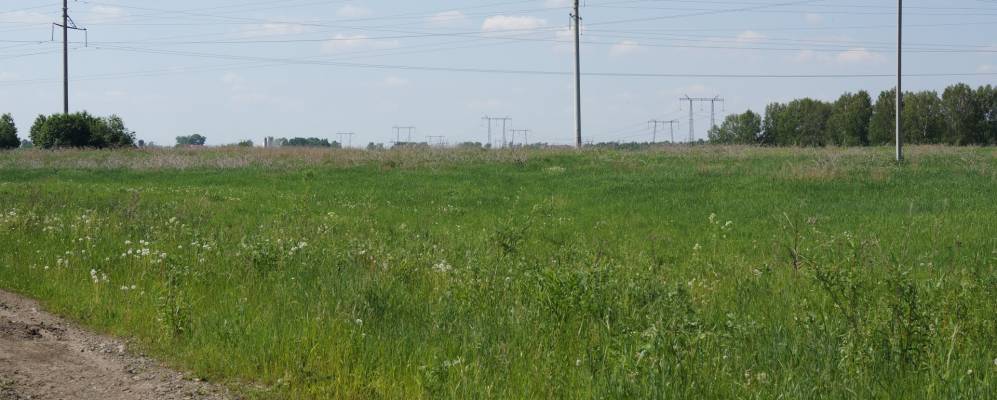 
            Фотография Хутора