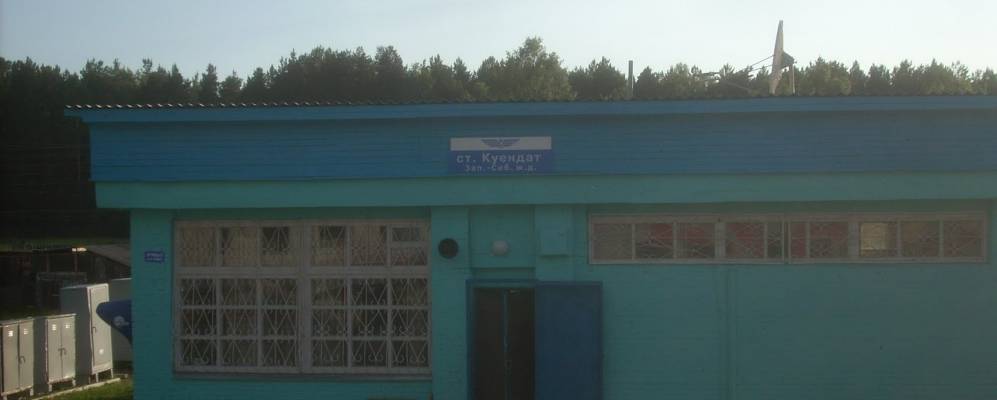 
            Фотография Ежей