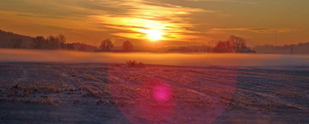 
            Фотография Карклини