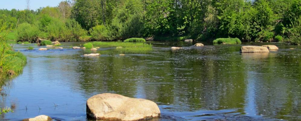 
            Фотография Селихново