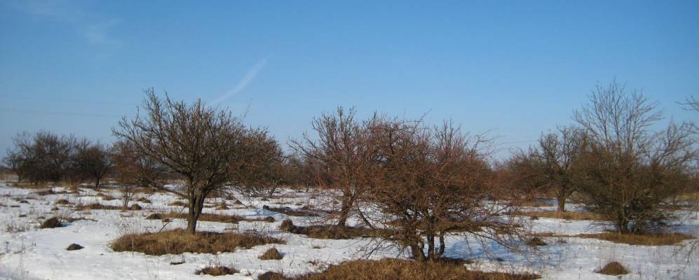 
            Фотография Толубеево